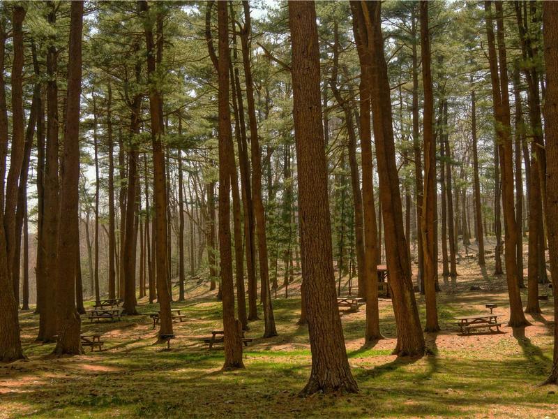 contact screenshot 6