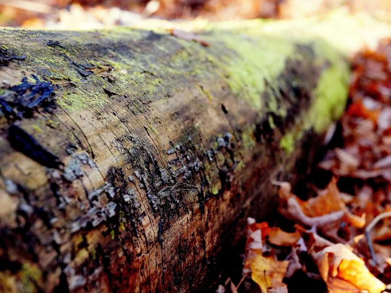 sudoku error checking screenshot 1